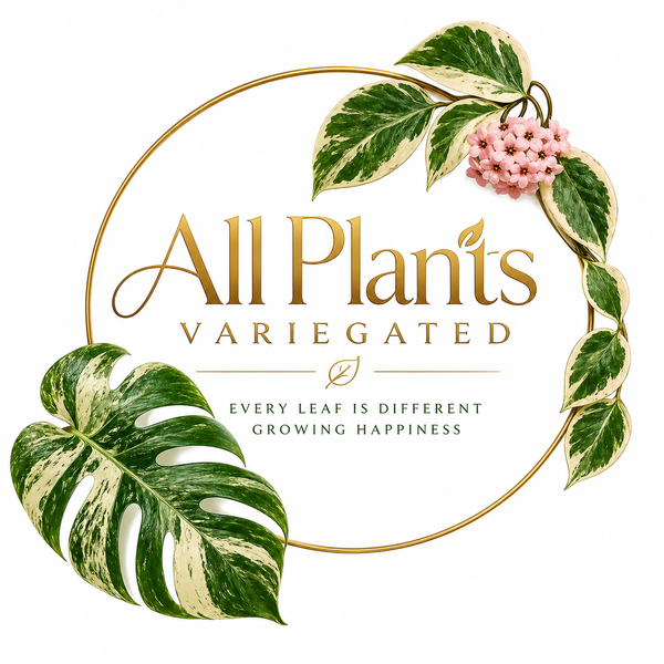 All Plants Variegated