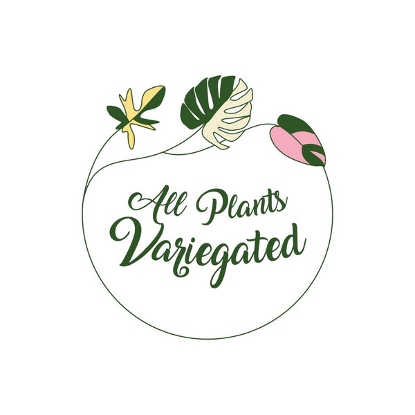 All Plants Variegated